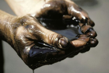 Фотография к новости: Маңғыстау маңынан мұнай атқылады