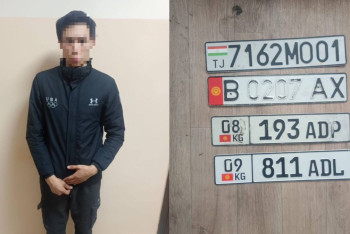 Фотография к новости: Көлік нөмірлерін ұрлаған алматылық ұсталды