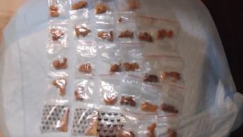 Фотография к новости: Елордада есірткі сататын онлайн-дүкен анықталды