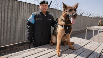 Фотография к новости: Қызығы мен қиындығы қатар жүретін кинология мамандығы