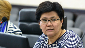 Фотография к новости: Қытаймен визасыз режимнің енгізілуі ел экономиксының дамуына көмектеседі