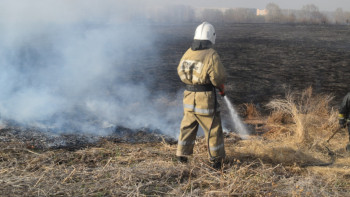 Фотография к новости: Ертіс өзенінің жайылмасы өртке оранды