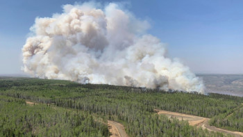 Фотография к новости: Канаданың Альберта провинциясында орман отқа оранды