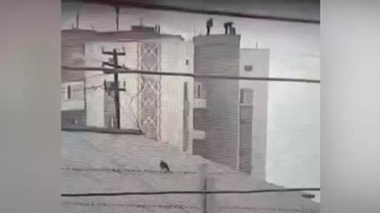 Фотография к новости: Көкшетауда жасөспірім қыз 12 қабаттан секірмек болған