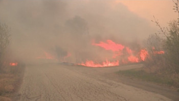 Фотография к новости: Ресейде орман өрті 60 мың гектар аумақты шарпыды