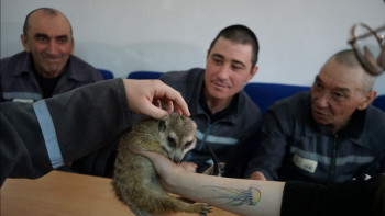 Фотография к новости: Павлодарлық сотталушалар пет-терапиядан өтті