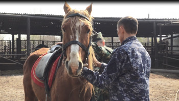 Фотография к новости: Атты патруль өрт қауіпсіздігін қамтамасыз етуге көмектеседі