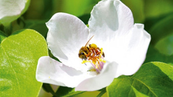 Фотография к новости: 11 мамырда Қазақстанда ауа райы қандай болады?