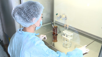 Фотография к новости: Теріскейде 94 адамды кене шақты