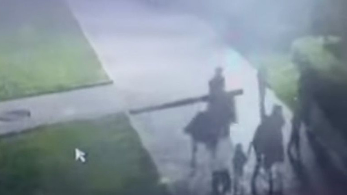  видеодан кадр