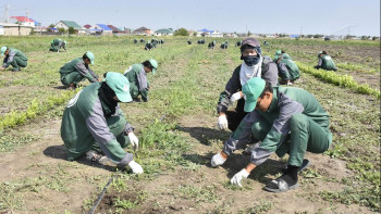 Фотография к новости: Ақтөбе облысында «Жасыл ел» жасағы жұмысын бастады