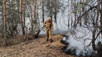 Фотография к новости: Атырау облысында жыл басынан 1,2 мың га орман алқабы өртенген