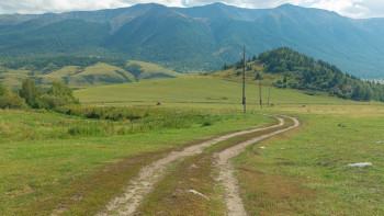 Фотография к новости: Абай облысында 63,5 мың гектар жайылымдық жер мемлекет меншігіне қайтарылды