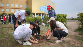Фотография к новости: «Жасыл мекен» челленджі аясында 187 мың көшет отырғызылды