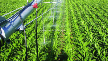 Фотография к новости: Елімізде жаңбырлатып суару қондырғысын шығаратын зауыт салынады