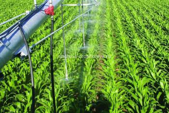 Фотография к новости: Елімізде жаңбырлатып суару қондырғысын шығаратын зауыт салынады