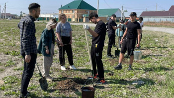 Фотография к новости: Қостанай облысында ағаш отырғызу акциясы өтті