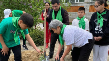 Фотография к новости: Оқушылар "Жасыл мекен" республикалық акциясына қатысты