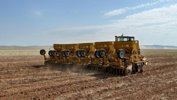 Фотография к новости: Ұлытау облысында егістік науқаны басталды