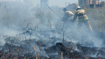 Фотография к новости: Табиғи өрттерге қарсы дайындық шаралары талапқа сай емес - Үкімет басшысы