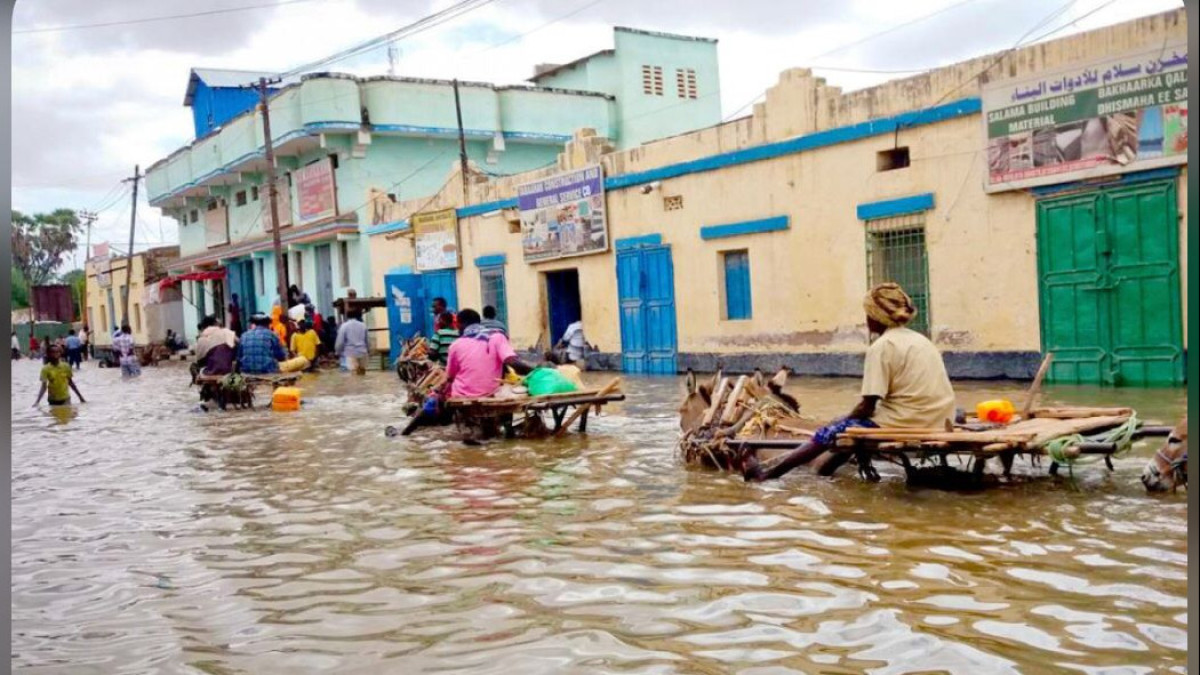  The Associated Press