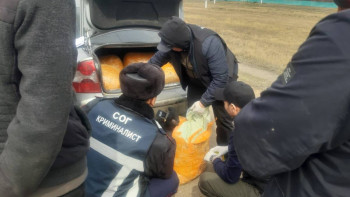 Фотография к новости: СҚО-да соңғы 10 жылдағы ең ірі есірткі партиясы тәркіленді