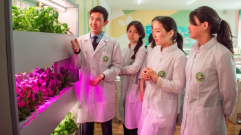 Фотография к новости: Елімізде 2026 жылға қарай 191 ауыл мектебі NIS әдістемесімен оқиды