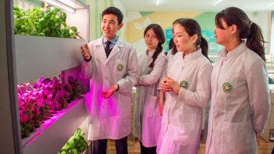 Елімізде 2026 жылға қарай 191 ауыл мектебі NIS әдістемесімен оқиды