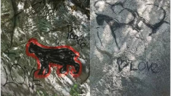 Фотография к новости: Вандалдар Аюсай шатқалындағы петроглифтерді бүлдірді