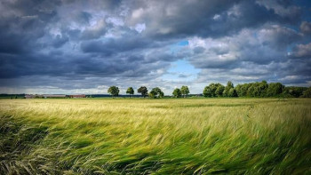 Фотография к новости: Қазақстанның басым бөлігінде күн салқындайды