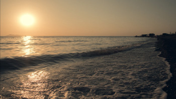 Фотография к новости: Су тапшылығы шаруаларға қолбайлау болып отыр