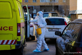 Фотография к новости: "COVID-19-дан бірнеше есе жылдам". Үндістанда жарқанаттар қатерлі вирус таратып жатыр