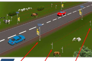 Фотография к новости: Енді тасжолда жануарлардың қатысуымен болатын жол апаттары азаяды