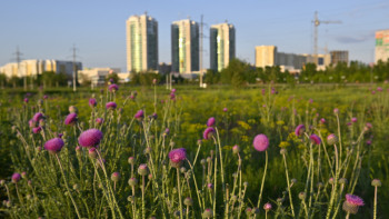 Фотография к новости: Ақтөбеде қаланы абаттандыру жұмыстары басталды