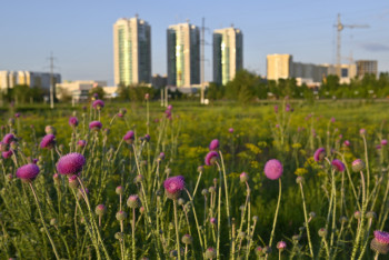 Фотография к новости: Ақтөбеде қаланы абаттандыру жұмыстары басталды