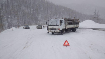 Фотография к новости: Моңғолияда қар жауып, боран соқты
