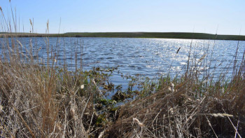 Фотография к новости: СҚО-да жоғалып кеткен оқушының денесі табылды