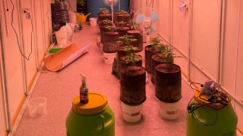 Фотография к новости: Маңғыстаулықтан есірткі мен бірнеше келі бекіре тұқымдас балық тәркіленді