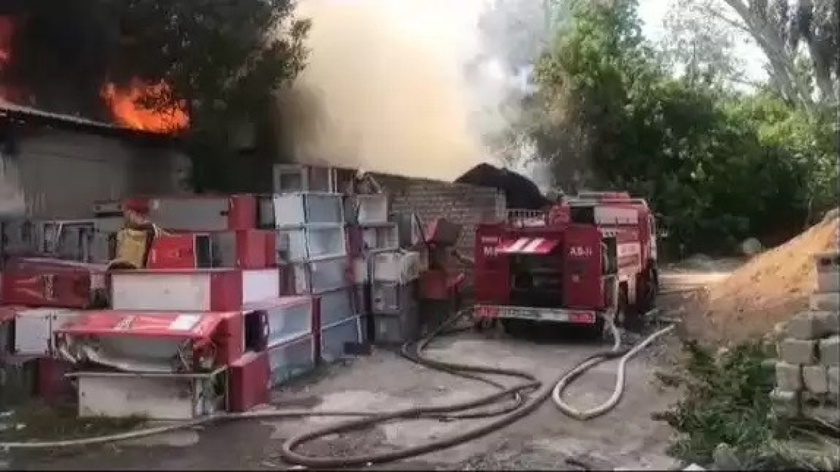  видеодан кадр