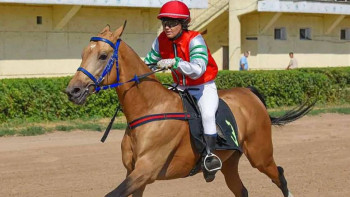 Фотография к новости: Алматыда асыл тұқымды жылқылардың бәйгесі өтті