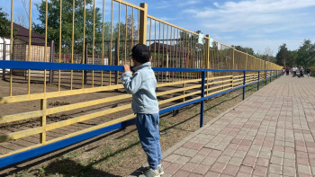 Фотография к новости: Қарағанды зообағында жаңа ғимарат салынып жатыр