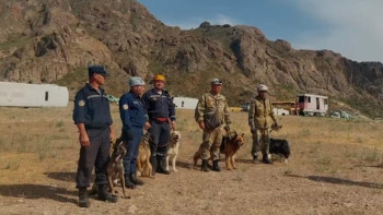 Фотография к новости: Орталық Азия елдерінің кинологиялық қызметтері үшін тренинг өтті