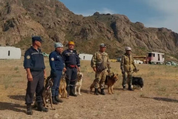 Фотография к новости: Орталық Азия елдерінің кинологиялық қызметтері үшін тренинг өтті