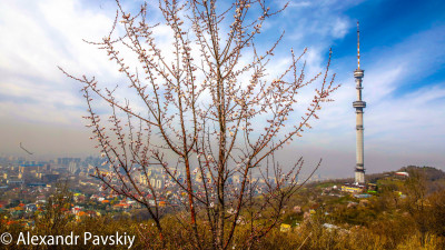 Алматыда тау бөктерінде 13 га жерге заңсыз үй салмақ болған