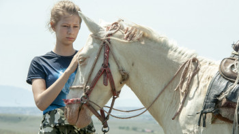 Фотография к новости: «Жетісу асылы».  Жетісудағы ерекше жылқылардың саны артып келеді