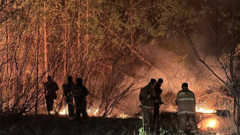 Фотография к новости: Орман өрті: Абай облысының әкімі оқиға орнына барды