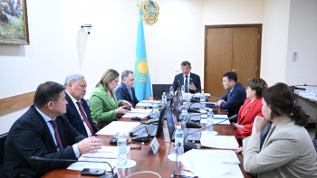 Фотография к новости: Сенатта мүгедек адамдардың құқықтарын қорғауды күшейту туралы заң талқыланды