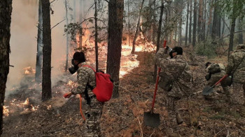 Фотография к новости: Абай облысындағы өрт: Жүзден аса әскери қызметші жұмылдырылды