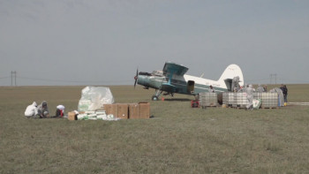 Фотография к новости: Қансорғыш жәндіктерге қарсы препараттар адам денсаулығына зиянды емес – мамандар