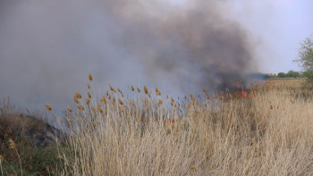 Фотография к новости: Қостанайдағы өртке кінәлі күдікті іздестіріліп жатыр